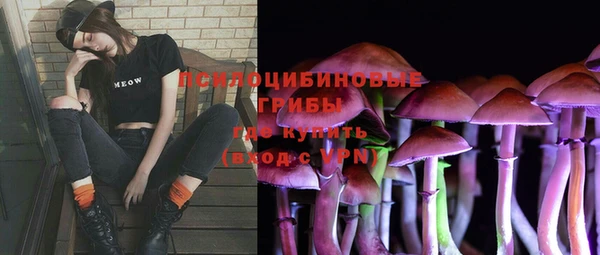 MESCALINE Алзамай