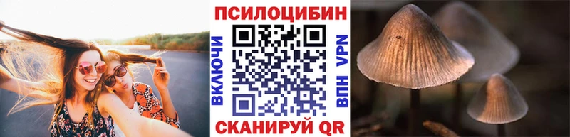 Псилоцибиновые грибы GOLDEN TEACHER  Мамоново 